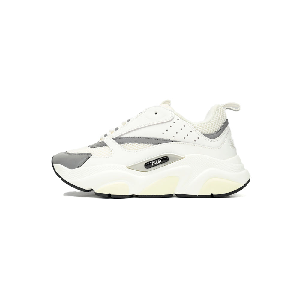 Dior B22 "White Grey"
